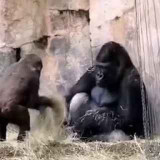 😡