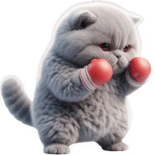 👊