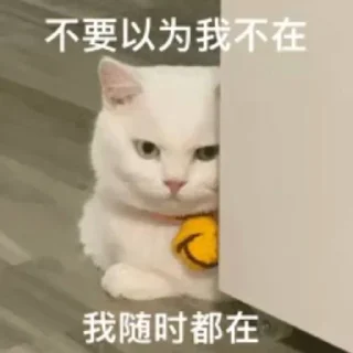 🐱