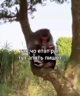 ✍️