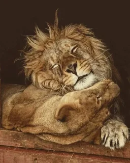 😉