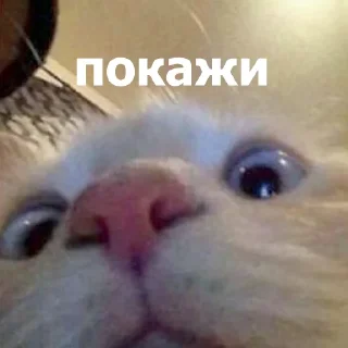 👀