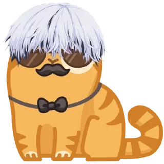 😼