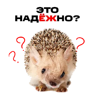 😮