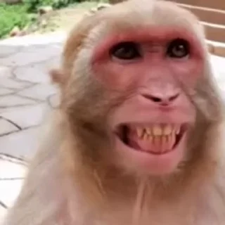 😄