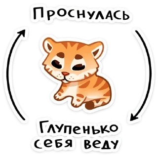 🐅