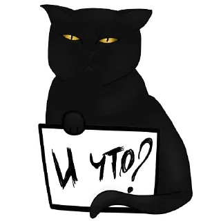 🐈‍⬛