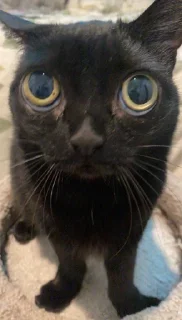 😐