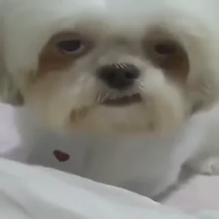 😐