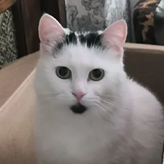 🤨
