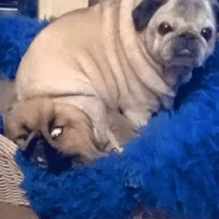 😵