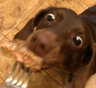 😳