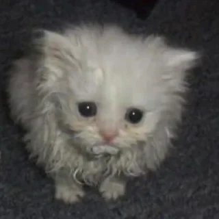 😔