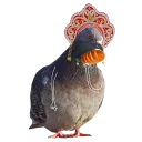 🐤