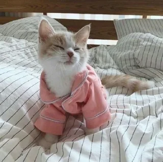 💝