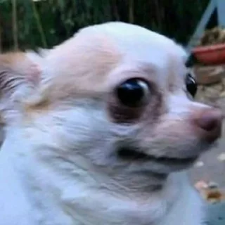 😳