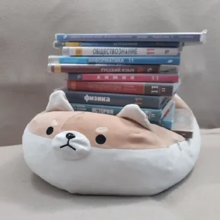 📚