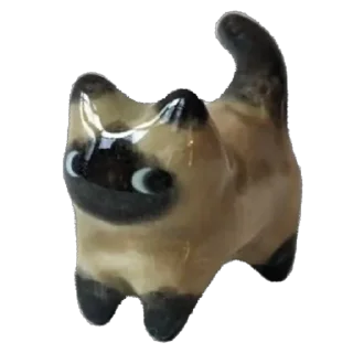 🐱