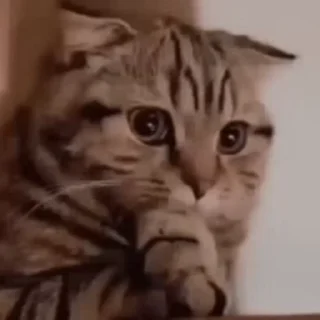 🤞