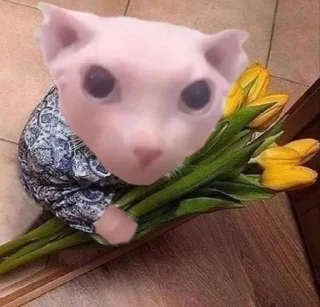 😊