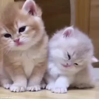 🤫