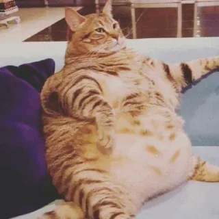 🤰
