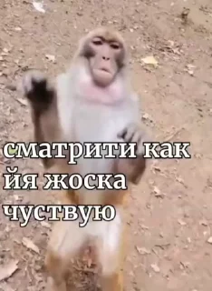 ☺️