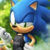 Sonic the hedgehog