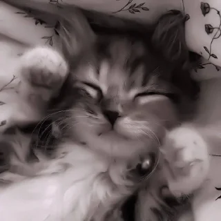 😴
