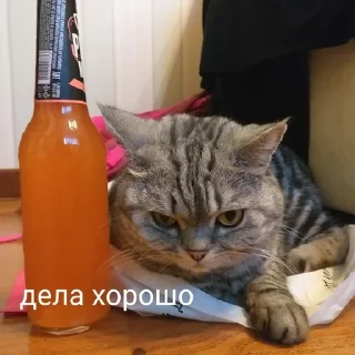 🍺