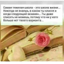 🌹