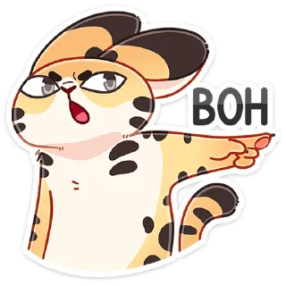 👉