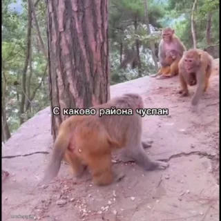 😱
