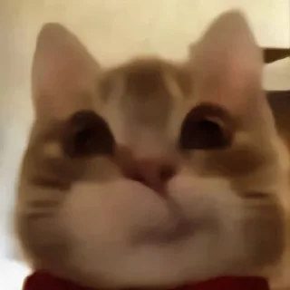 😬