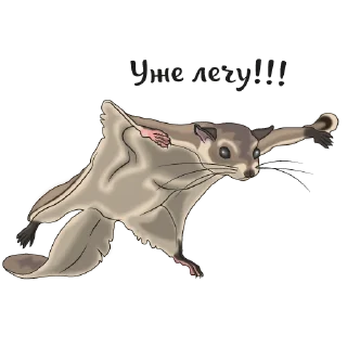 🏃