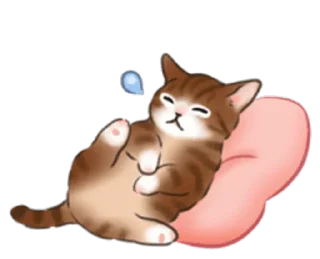 🐱