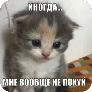 🫥