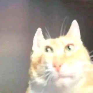 😐