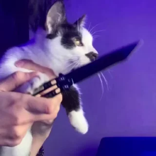 🔪