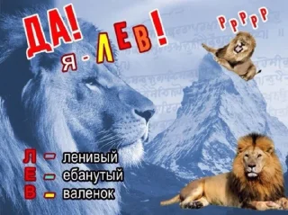 🦁