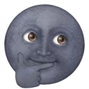 🌚