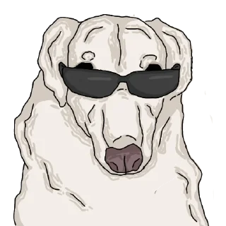😎