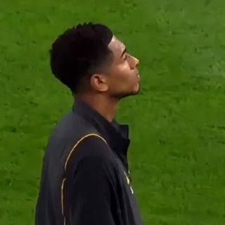🤍