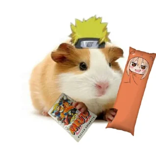 🐹