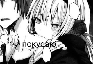 😼
