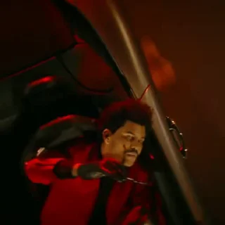 🌟