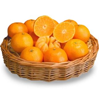 🍊