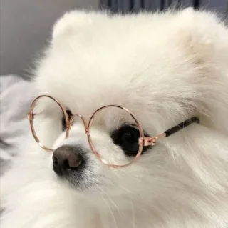 🤩