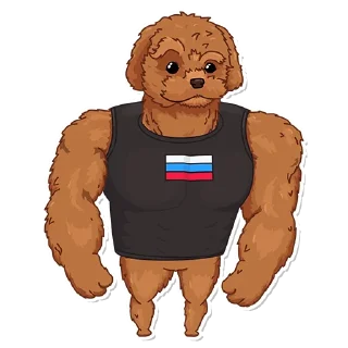 🐶