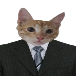 👨‍⚖️